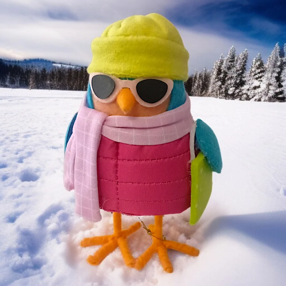 Target Featherly Friends Merry Bird Fabric Figure '24‎ Winter Holiday Wondershop